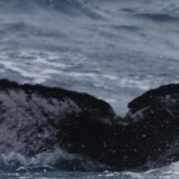 Fluke of HW-MN0444767
