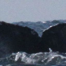 Fluke of CRC-22519