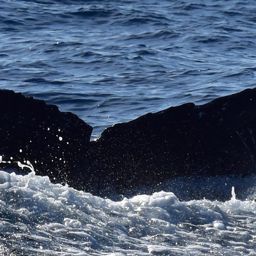 Fluke of HW-MN0524096