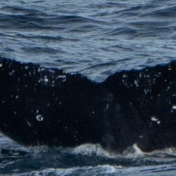 Fluke of HW-MN0524110