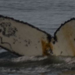Fluke of HW-MN1306045