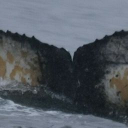 Fluke of HW-MN1306110