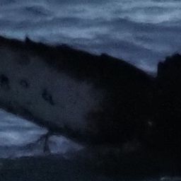 Fluke of HW-MN1306114