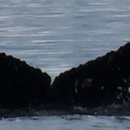 Fluke of HW-MN1306138