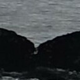 Fluke of HW-MN1306162