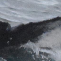 Fluke of Kristjan