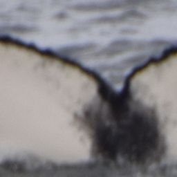 Fluke of HW-MN0103735