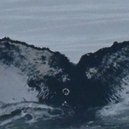 Fluke of HW-MN0103751