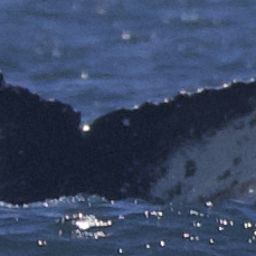 Fluke of CRC-22165