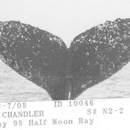 Fluke of CRC-10046