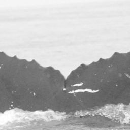 Fluke of CRC-10142