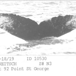Fluke of CRC-10530