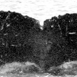 Fluke of Black Beauty
