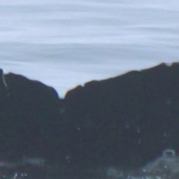 Fluke of CRC-22641