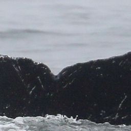 Fluke of CRC-22643