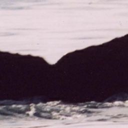 Fluke of Cruizer