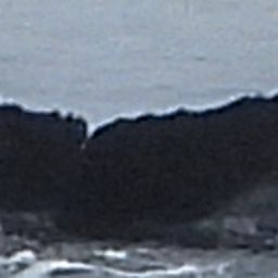 Fluke of HW-MN0103902