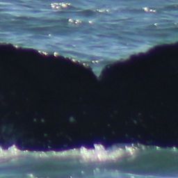 Fluke of Spindrift