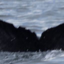 Fluke of CRC-22672