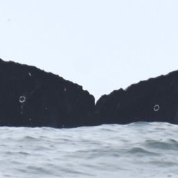 Fluke of HW-MN0524171