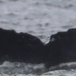 Fluke of CRC-22702