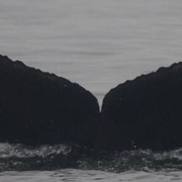 Fluke of CRC-22707