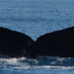 Fluke of CRC-22927