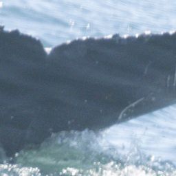 Fluke of X-Ray Bravo 2024