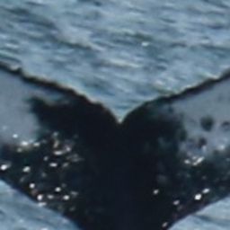 Fluke of HW-MN0804306