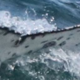 Fluke of HW-MN0804322