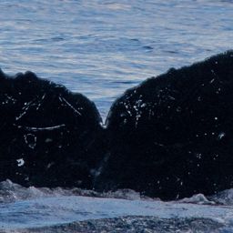 Fluke of HW-MN0440084