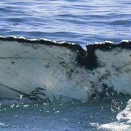 Fluke of HW-MN0804350