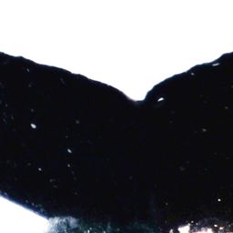 Fluke of Reflector
