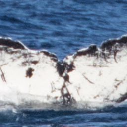 Fluke of CRC-10607