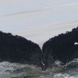 Fluke of CRC-22201