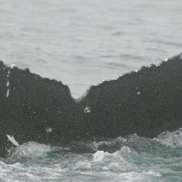 Fluke of CRC-22792