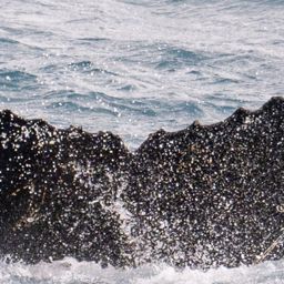 Fluke of HW-MN1306314