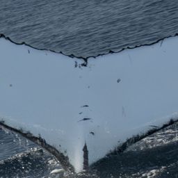 Fluke of HW-MN1108548