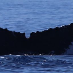Fluke of HW-MN0440197