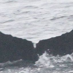 Fluke of HW-MN0524196