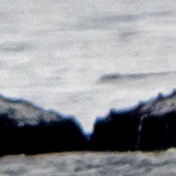 Fluke of HW-MN0401537