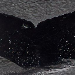 Fluke of River