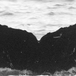 Fluke of Fin Diesel
