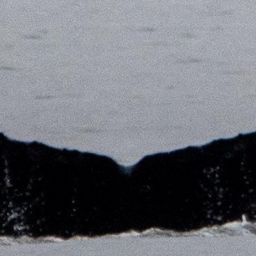 Fluke of CRC-22840