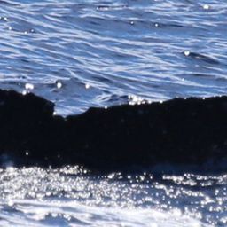 Fluke of HW-MN0444860