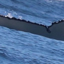 Fluke of HW-MN1109001
