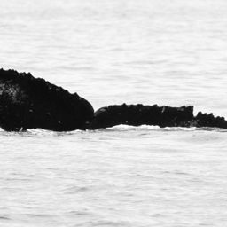 Fluke of HW-MN0440309