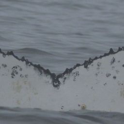 Fluke of HW-MN0804451