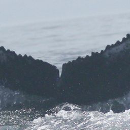 Fluke of HW-MN0804463