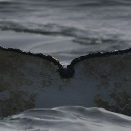 Fluke of HW-MN0804482